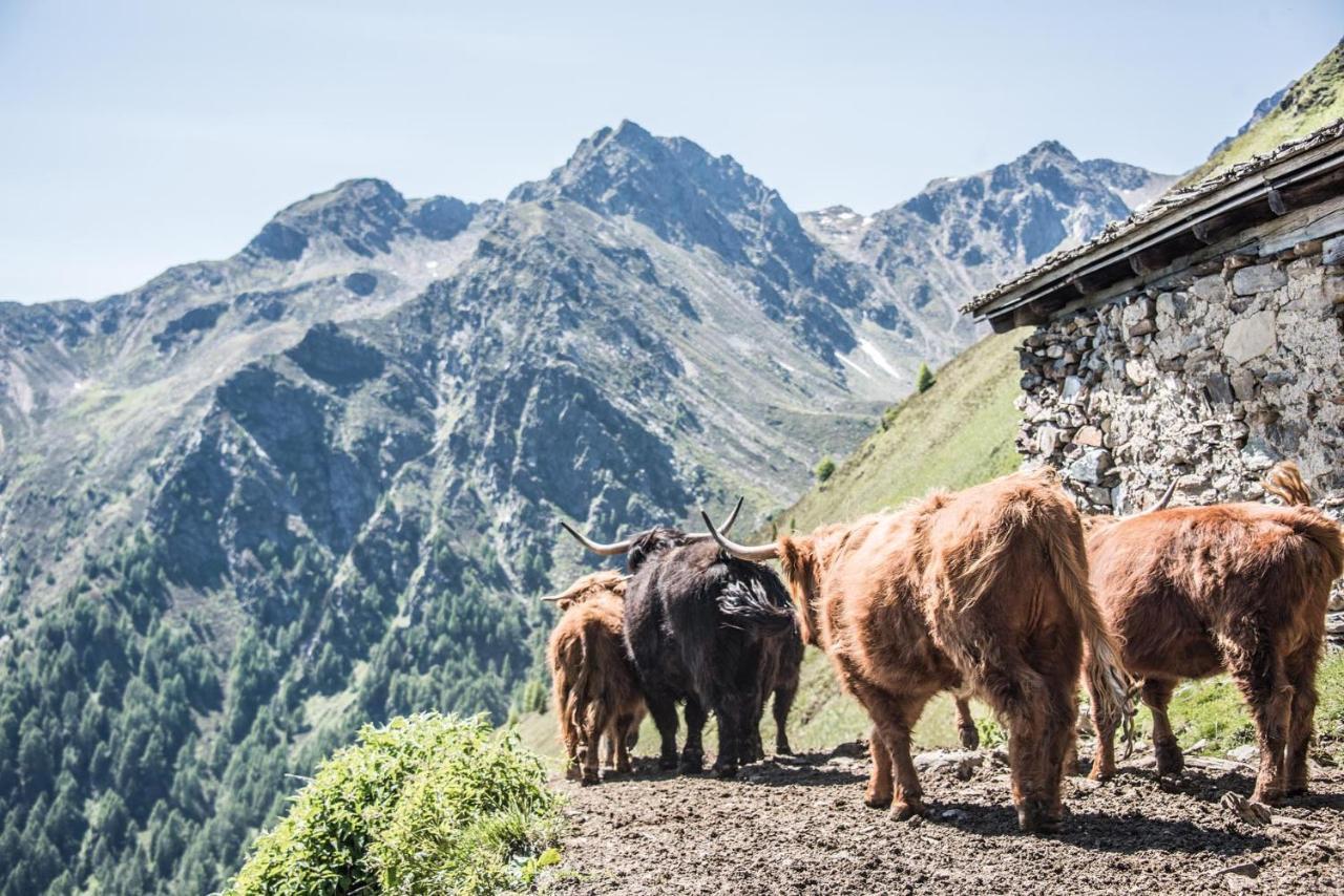 Archehof Hochzirm Lodge Anton Campo Tures Dış mekan fotoğraf